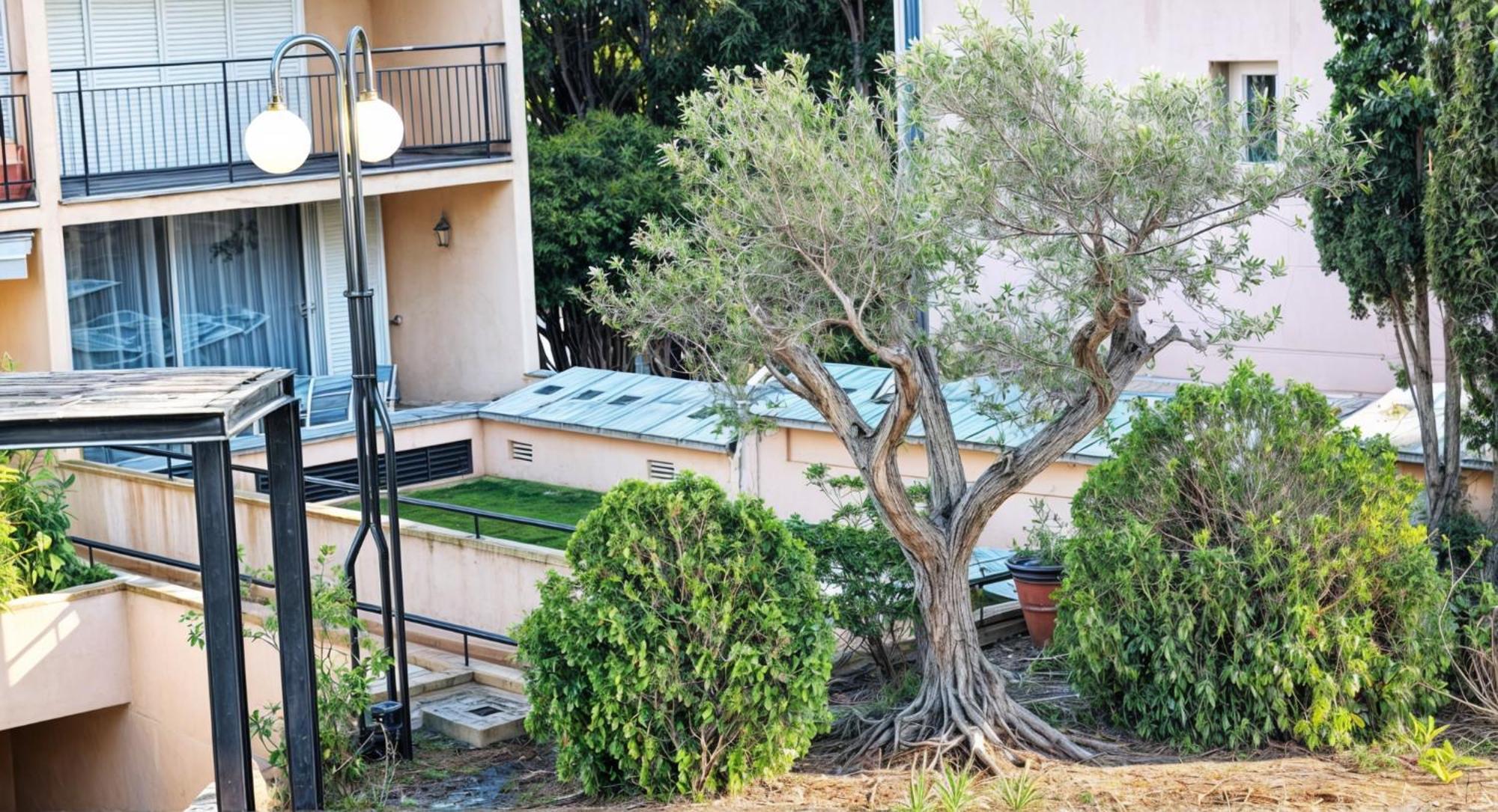 Appartement Precioso Reformado En 1ra Linea De Mar Sin Vistas Calella De Palafrugell